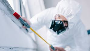 Emergency Pest Control in Green Island, NY